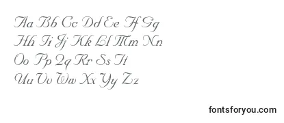 Review of the Nuptialscriptltstd Font