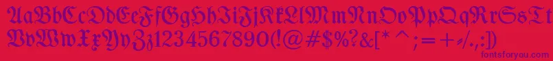 TypographerfrakturMedium Font – Purple Fonts on Red Background