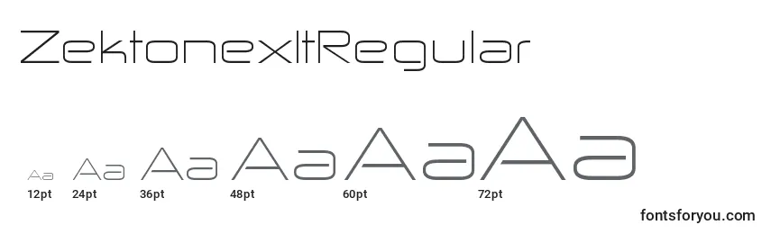 Размеры шрифта ZektonexltRegular
