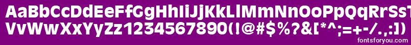 AntiqueOliveLtBlack Font – White Fonts on Purple Background