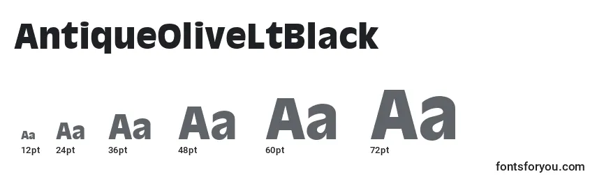 Размеры шрифта AntiqueOliveLtBlack