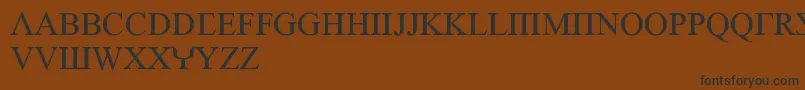 EmpiricRoman Font – Black Fonts on Brown Background