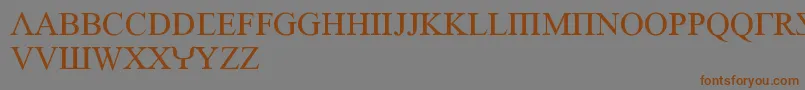 EmpiricRoman Font – Brown Fonts on Gray Background