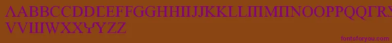 EmpiricRoman Font – Purple Fonts on Brown Background