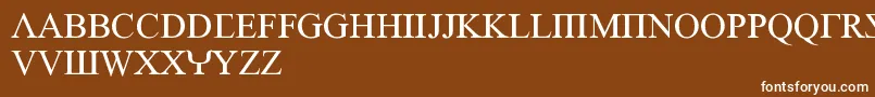 フォントEmpiricRoman – 茶色の背景に白い文字