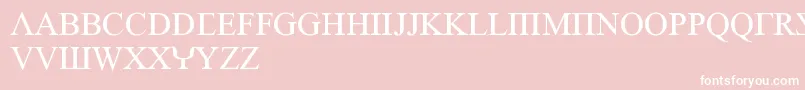EmpiricRoman Font – White Fonts on Pink Background