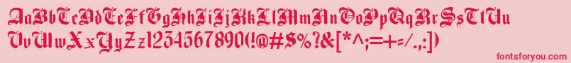 BeckettKanzlei Font – Red Fonts on Pink Background