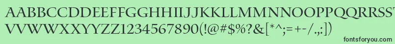 WaterstitlingproRg Font – Black Fonts on Green Background