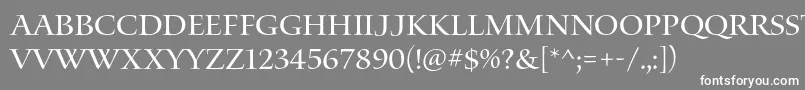 WaterstitlingproRg Font – White Fonts on Gray Background