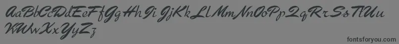 Arresto Font – Black Fonts on Gray Background