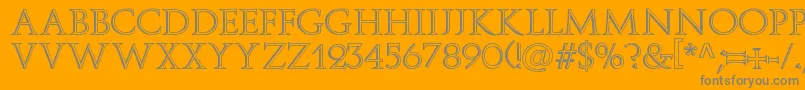 Delfin-Schriftart – Graue Schriften auf orangefarbenem Hintergrund