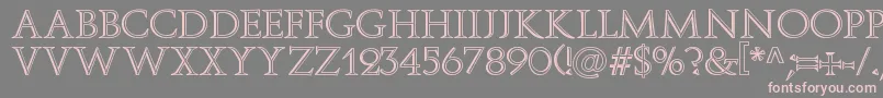 Delfin Font – Pink Fonts on Gray Background