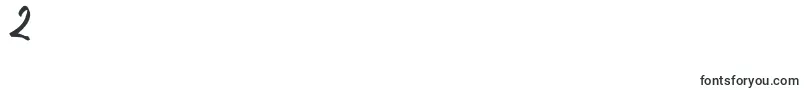 TomScript Font – Fonts for Digit 2