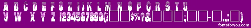 Willharris Font – White Fonts on Purple Background