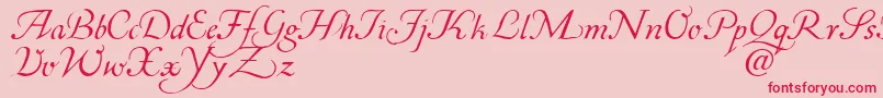 Corabael Font – Red Fonts on Pink Background