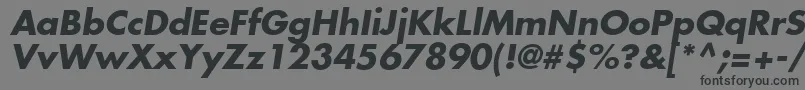 KudosSsiBoldItalic Font – Black Fonts on Gray Background