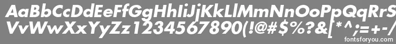 フォントKudosSsiBoldItalic – 灰色の背景に白い文字