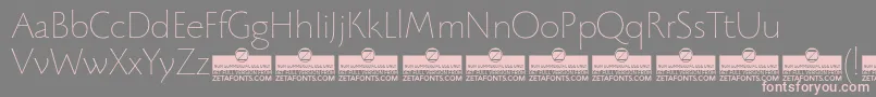 フォントBeatrixantiquaThinTrial – 灰色の背景にピンクのフォント