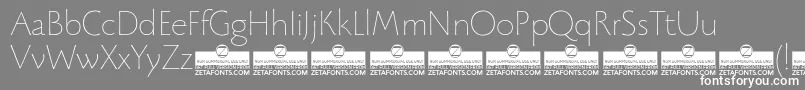 BeatrixantiquaThinTrial-fontti – valkoiset fontit harmaalla taustalla