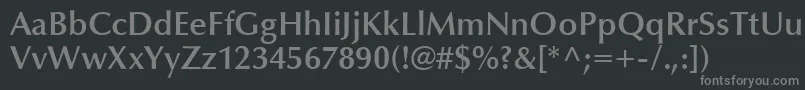 フォントOptimaLtDemiBold – 黒い背景に灰色の文字