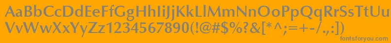 フォントOptimaLtDemiBold – オレンジの背景に灰色の文字