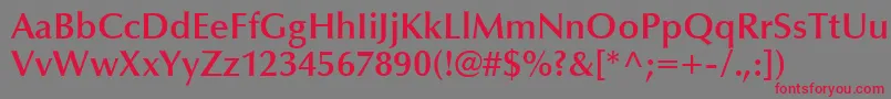 フォントOptimaLtDemiBold – 赤い文字の灰色の背景