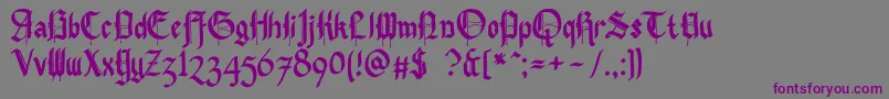 Pennybridge1563 Font – Purple Fonts on Gray Background
