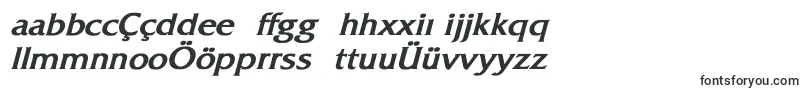 Шрифт FitzgeraldBoldItalic – азербайджанские шрифты