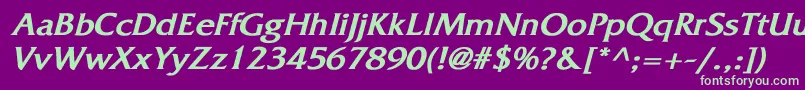 FitzgeraldBoldItalic Font – Green Fonts on Purple Background