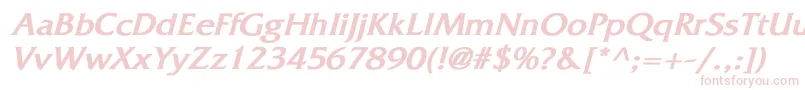 FitzgeraldBoldItalic Font – Pink Fonts on White Background