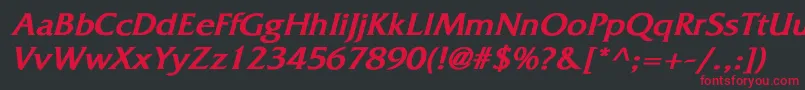 FitzgeraldBoldItalic Font – Red Fonts on Black Background