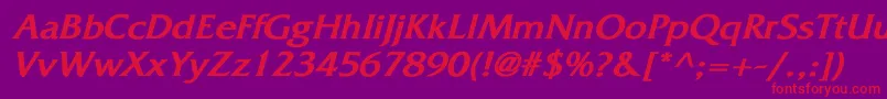 FitzgeraldBoldItalic Font – Red Fonts on Purple Background