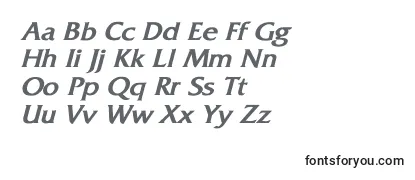 Review of the FitzgeraldBoldItalic Font
