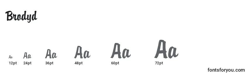 Brodyd Font Sizes