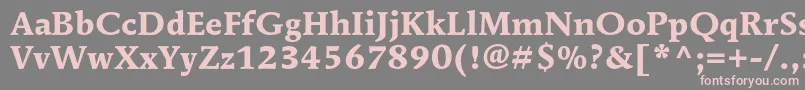 MendozaromanstdBold Font – Pink Fonts on Gray Background