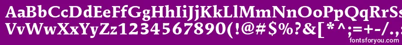 MendozaromanstdBold Font – White Fonts on Purple Background