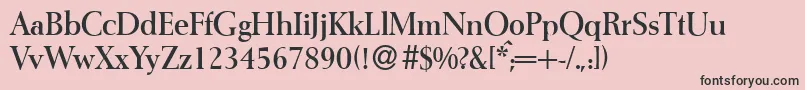 I772RomanBold Font – Black Fonts on Pink Background