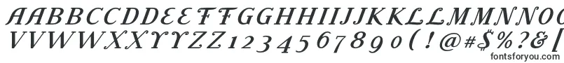 LitolandTitle Font – Fonts for Adobe Illustrator