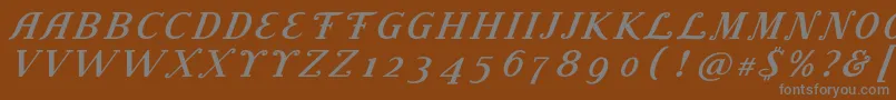 フォントLitolandTitle – 茶色の背景に灰色の文字