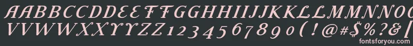 LitolandTitle Font – Pink Fonts on Black Background