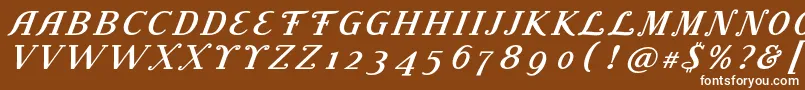 Шрифт LitolandTitle – белые шрифты на коричневом фоне