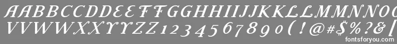 フォントLitolandTitle – 灰色の背景に白い文字