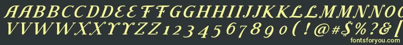 フォントLitolandTitle – 黒い背景に黄色の文字