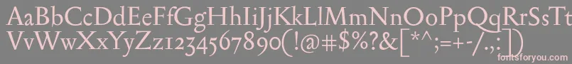 フォントSerapionii – 灰色の背景にピンクのフォント