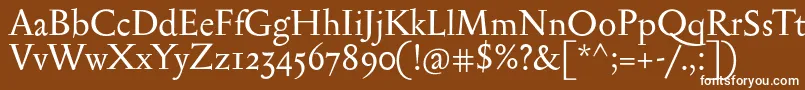 Serapionii Font – White Fonts on Brown Background