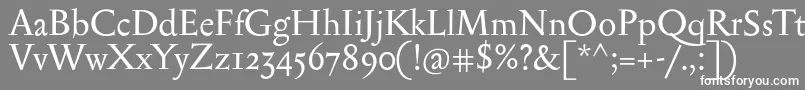 Serapionii Font – White Fonts on Gray Background