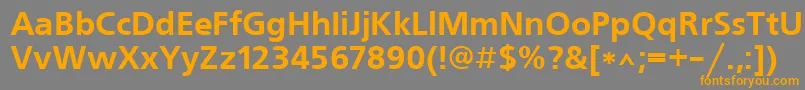 FreesetBold Font – Orange Fonts on Gray Background