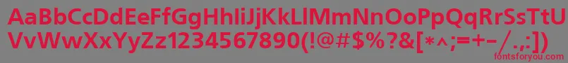 FreesetBold Font – Red Fonts on Gray Background