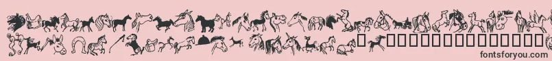 Horsedings-Schriftart – Schwarze Schriften auf rosa Hintergrund