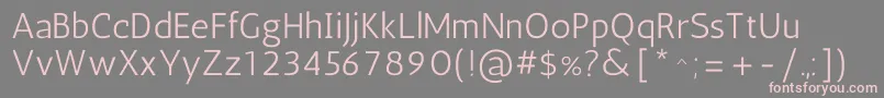フォントAnticRegular – 灰色の背景にピンクのフォント